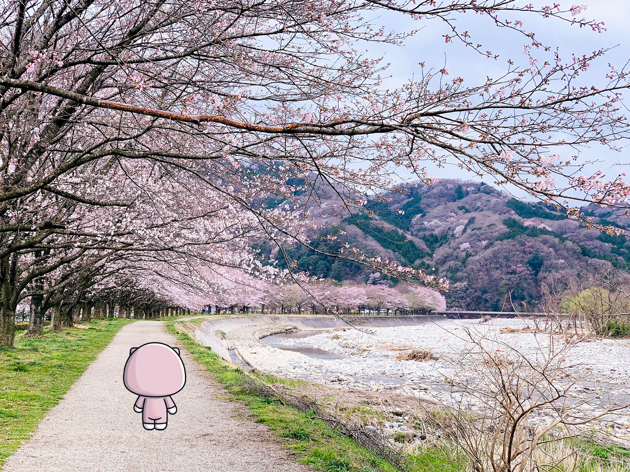 Japan Trip