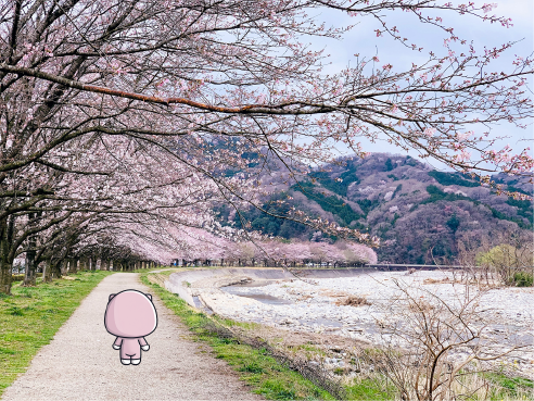 Japan Trip